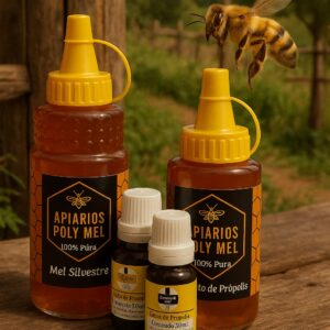 Mel Puro 500g 100% Natural Flores Silvestres Abelhas APIS Africanas